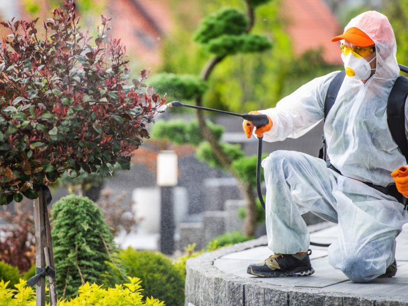 Akşehir Haşere İlaçlama